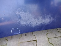 фото thumb №6, Капот seat arosa lift