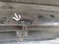 фото thumb №10, Бампер перед передний hyundai i20 i 1 lift 12-15