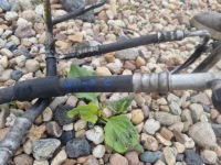 фото thumb №3, Vectra c 2.2 wąż шланг кондиционера