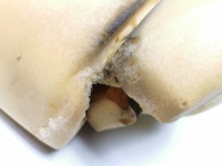 Губка спинка сиденье ford оригинальный номер 1004258 с Разборки, фото thumb