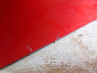 фото thumb №13, Двері праві праві перед передні audi tt 8j колір ly3j