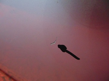 фото thumb №11, Mini countryman cooper r60 крышка багажника b12