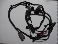 фото thumb №1, Электропроводка дверь правое bentley gt gtc 1