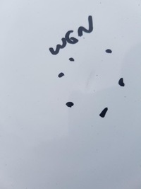 фото thumb №8, Капот крышка двигателя ford fiesta mk7