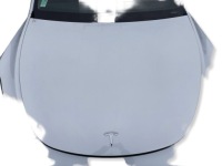 Tesla model y ppsw капот крышка двигателя Цена, фото thumb