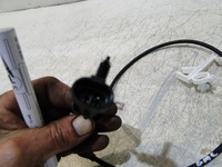 фото thumb №6, Gmc sierra 2006- датчик abs перед правые левый