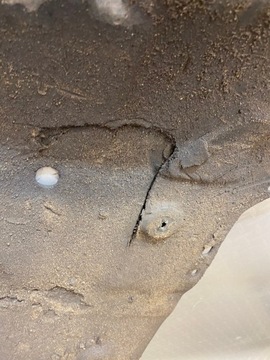 фото thumb №5, Защита плита поддвигательная двигателя шасси opel astra v k оригинал 39117175