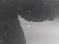 фото thumb №8, Капот alfa romeo 156 lift lak:639 2003-2006r