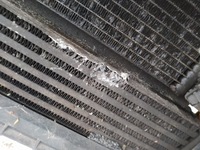 фото thumb №6, Skoda fabia 2 ii рестайлинг tdi pas перед переднее