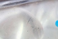 фото thumb №6, Фара лівий лампа перед eu 20-a282 seat alhambra 1 i lift 00-10