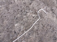 Шланг кондиціонера патрубок mercedes ml w163 2.6 cdi дизель в Україні, фото thumb