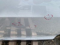 фото thumb №6, Двері праве задні vw volkswagen tiguan 5na правий задня