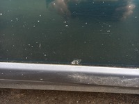 фото thumb №10, Audi a8 d2 двері лівий перед ліва передні lz6h