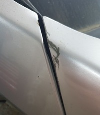 фото thumb №8, Kia sportage iii капот крышка двигателя 9s оригинал