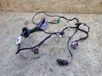 фото thumb №1, Джгут двері правий задня opel insignia b 1.6 2017 europa