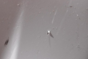 фото thumb №7, Накладка порогова ліва біла toyota yaris 4 iv gr 3d hb 20-21