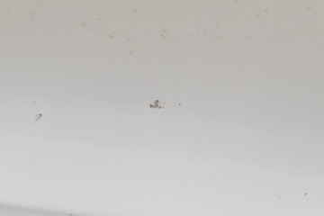 фото thumb №7, Дверь правые перед передние 300u bmw x5 f15 13-18