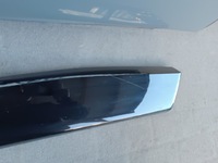 фото thumb №9, Nissan ariya двері праве задня задні