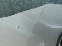 фото thumb №11, Капот крышка двигателя skoda octavia iii lift