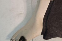 фото thumb №14, Левая обивка багажника land rover range rover sport l320 esj502030 3.0l