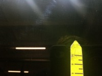 фото thumb №12, Vw passat b8 kombi variant люк панорама 3g9877041c