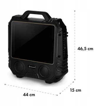 Динамик Auna, экран 14 дюймов, караоке, Bluetooth, USB-микрофон, перезаряжаемый