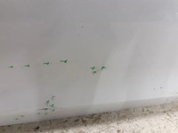 фото thumb №6, Дверь передние перед правые skoda octavia iv 4 5e3 2020-