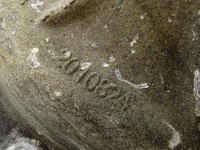 фото thumb №9, Диференціал диференціал міст перед передній bmw x5 e70 x6 e71 3.0d 7552533 3.64