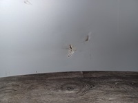 фото thumb №13, Капот ---- hyundai coupe ii lift 07-08 --- кришка двигуна