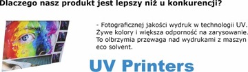 Рулон 100 х 200 см УФ печать - кассета, сумка, графика