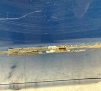 фото thumb №9, Volkswagen passat b6 2010 задняя сторона левая дверь задние