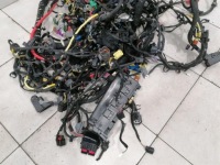 Mclaren 570s spider проводка жгут основной кузов rhd harness Недорого, фото thumb