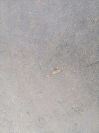 фото thumb №6, Шумоізоляція капот + кліпси mazda 3 i bk 06-09 lift 5d hb