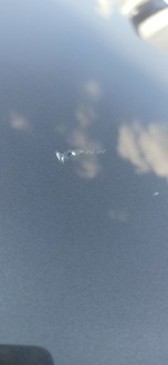 Капот opel insignia a цвет z177 2008-2017 Цена, фото thumb