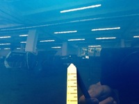 фото thumb №4, Alfa romeo stelvio qv двері задня ліва 756