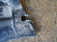 фото thumb №8, Audi a4 b8 8k захист плита двигуна pod двигун 8f0863821