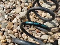 фото thumb №3, Ford focus mk3 hb пружина підвішування зад