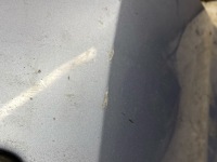 Ford focus 1800cm3 2006 бамперы kombi Киев, фото thumb