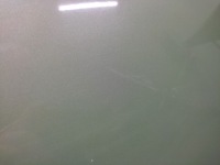 Citroen c3 капот крышка двигателя лак ksyc Оригинал, фото thumb