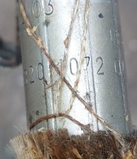 фото thumb №12, Mercedes w220 4.0 cdi шланг abc