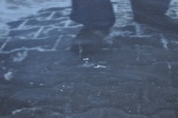 фото thumb №9, Volvo v60 двері правий задня задні 452-26 повний