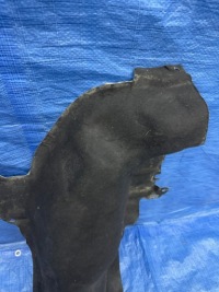 фото thumb №6, Защита тепловая renault austral 1.2 e-tech 747511587r автоматическая коробка передач