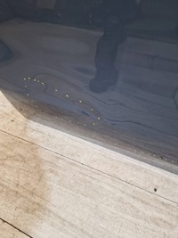 фото thumb №7, Bmw x1 u11 дверь правое перед передние