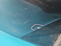 фото thumb №8, Крышка багажника задняя стекло renault megane iii kombi tegne