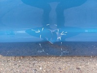 фото thumb №2, Ford ranger 5 v 11- дверь правое задняя