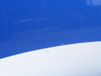 фото thumb №10, Капот oryg lak terna renault scenic iii 09-11r. 10r. короткий = grand