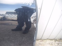 фото thumb №9, Porsche cayenne 02-10 7l lc9z дверь правый перед