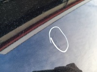 фото thumb №12, Капот кришка двигуна ford f150 svt raptor 2009-2014