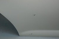 фото thumb №7, Двері правий задня mg 6 09-