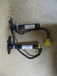 фото thumb №1, Патрон капот ford mustang vi